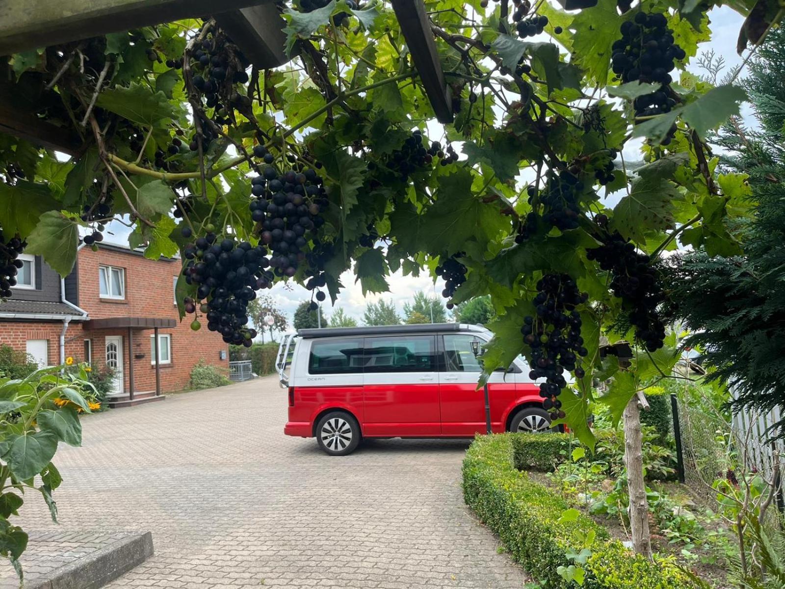 Neumuehler Hof- Ferienwohnung "Thomas" 3 Zimmer,3 Baeder Mit Dusche, Kostenfreie Parkplaetze Vor Dem Haus شفيرين المظهر الخارجي الصورة